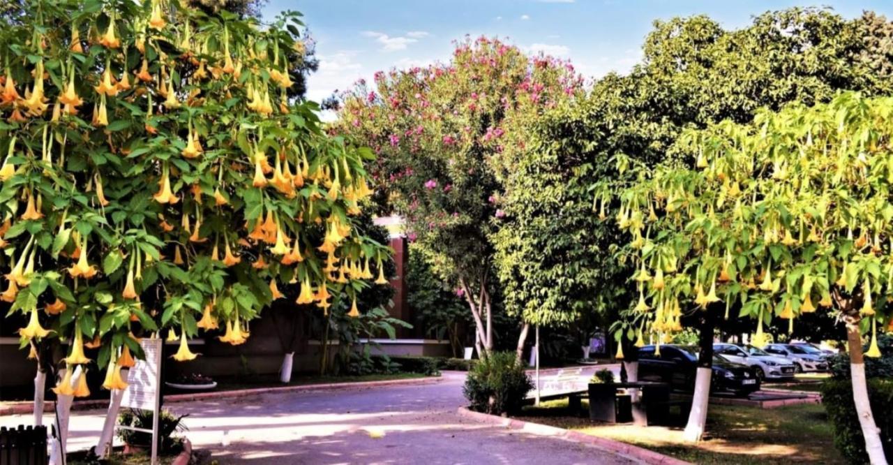 Cetinel Otel アダナ エクステリア 写真