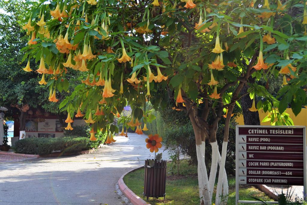 Cetinel Otel アダナ エクステリア 写真