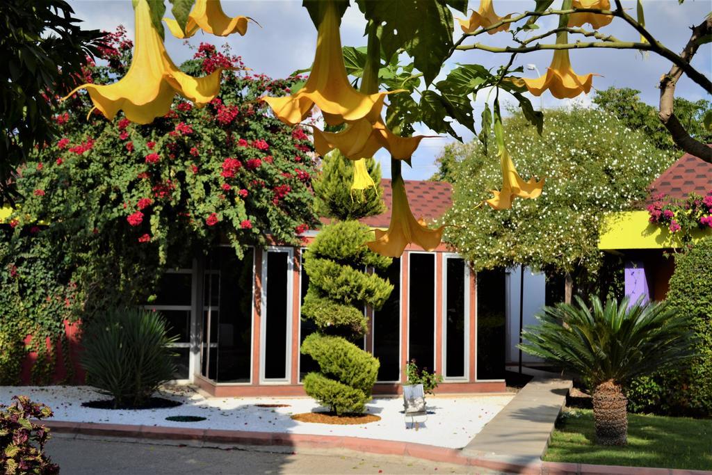 Cetinel Otel アダナ エクステリア 写真
